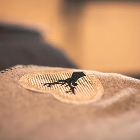 Daire Gaichtspitze Nesselwängle